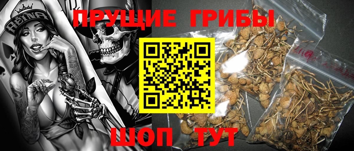 Псилоцибиновые грибы ЛСД Старая Купавна